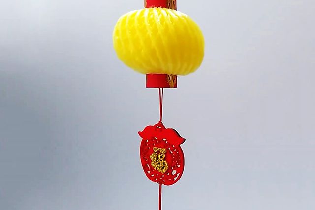 蛇年手工：怎么用水果网制作灯笼(图文教程)8