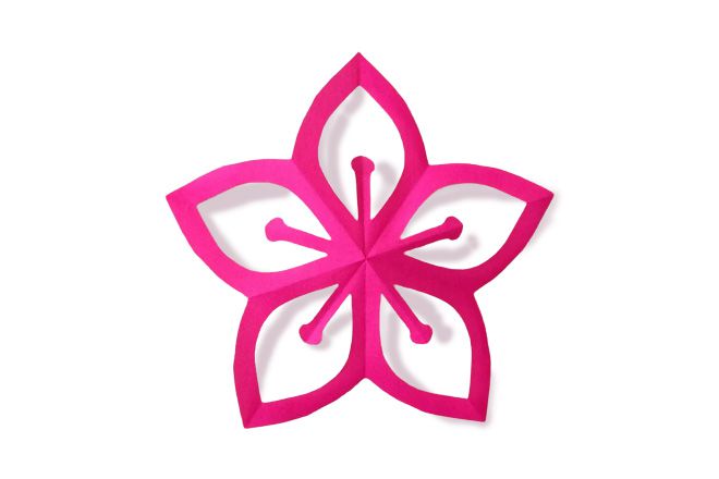 适合幼儿的简单纸花朵手工：剪纸桃花的方法(图文教程)